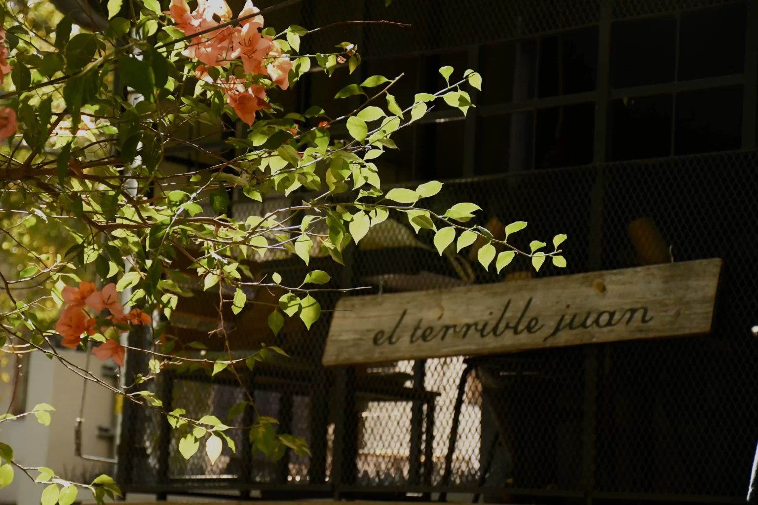 americana-2